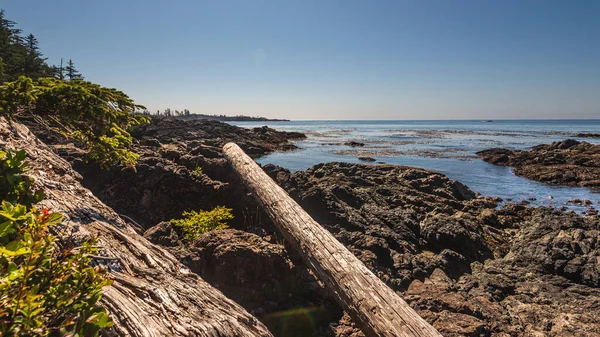 Vue Naturelle Panoramique Sur Magnifique Paysage Marin Côte Mer — Photo