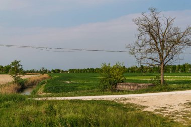 Kuzey İtalya 'daki caorle lagünüyle güzel bir kırsal alan.
