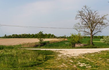 Yazın güzel doğa manzarası ve sakin kırsal alan.