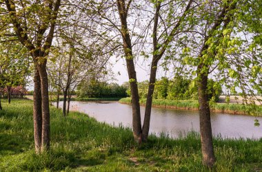 Kuzey İtalya 'daki caorle lagünüyle güzel bir kırsal alan.