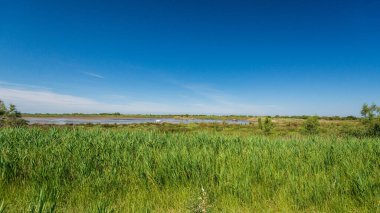 Yazın güzel doğa manzarası ve sakin kırsal alan.