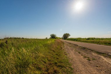 Yazın güzel doğa manzarası ve sakin kırsal alan.
