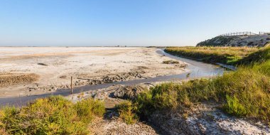 Güneşli yaz gününde güzel kır manzarası