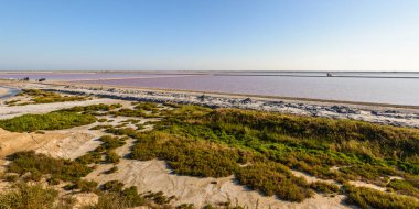 Güneşli yaz gününde güzel kır manzarası
