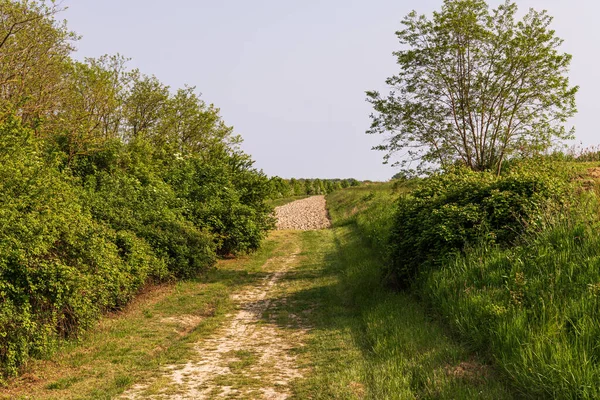 Krásná Přírodní Scenérie Klidná Krajina Létě — Stock fotografie