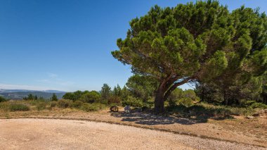Güneşli yaz gününde güzel kır manzarası