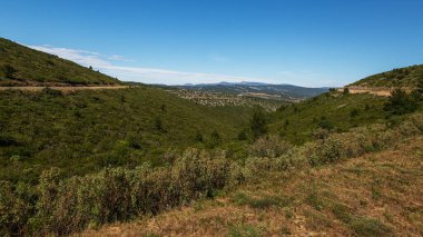 Güneşli yaz gününde güzel kır manzarası