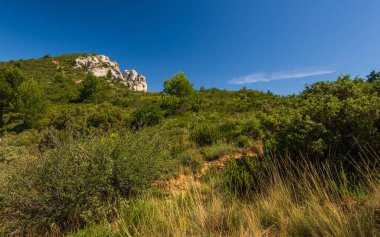 Güneşli yaz gününde güzel kır manzarası