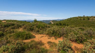 Güneşli yaz gününde güzel kır manzarası