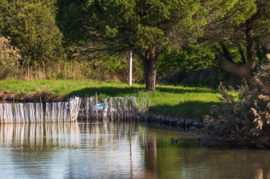 Huzurlu kırsal alan ve ilkbaharda rıhtımı olan güzel kırsal manzara 