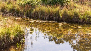 Huzurlu kırsal alan ve ilkbaharda rıhtımı olan güzel kırsal manzara 