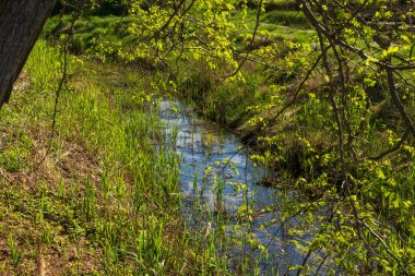 Huzurlu kırsal alan ve ilkbaharda rıhtımı olan güzel kırsal manzara 