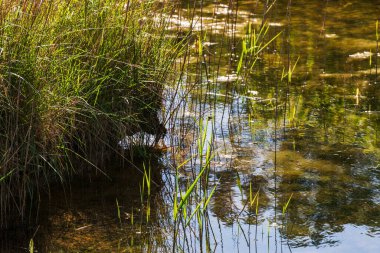 Huzurlu kırsal alan ve ilkbaharda rıhtımı olan güzel kırsal manzara 