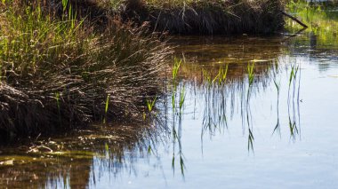 Huzurlu kırsal alan ve ilkbaharda rıhtımı olan güzel kırsal manzara 
