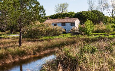 manzaralı kırsal alan ve kırsal alandaki çiftlik evi