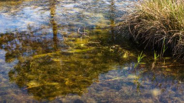 Huzurlu kırsal alan ve ilkbaharda rıhtımı olan güzel kırsal manzara 