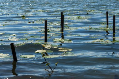 Mincio nehrinin sakin sularıyla güzel doğal bir manzara.