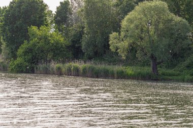 Lombardy, İtalya 'daki Mincio Nehri' nin güzel doğal manzarası.