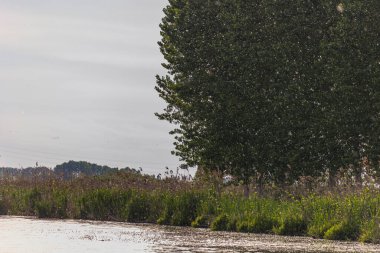 Gün batımında Mincio Nehri manzarası Lombardy, İtalya