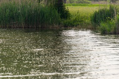 Mincio nehrinin sakin sularıyla güzel doğal bir manzara.