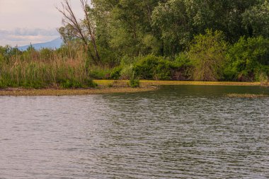 Gün batımında Mincio nehrinin güzel doğal manzarası, Lombardy, İtalya