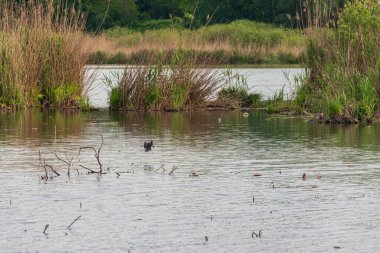 Lombardy, İtalya 'da güzel doğal manzara ve kırsal manzara 