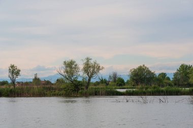 Lombardy, İtalya 'daki Mincio Nehri' nin güzel doğal manzarası.