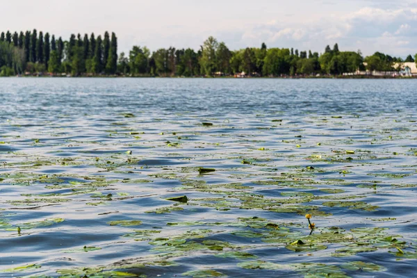 Vista Panorámica Del Río Mincio Durante Puesta Del Sol Lombardía — Foto de Stock