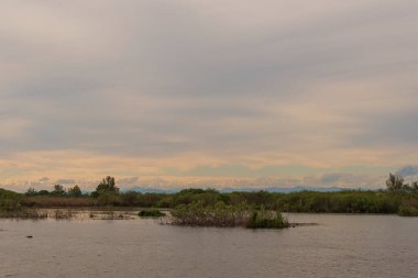 Sabahları Mincio nehrinin güzel manzarası, Lombardy, İtalya
