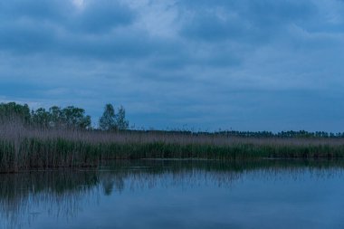 Gün batımında Mincio nehrinin güzel doğal manzarası, Lombardy, İtalya