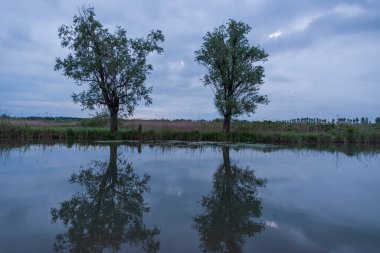 Gün batımında Mincio nehrinin güzel doğal manzarası, Lombardy, İtalya