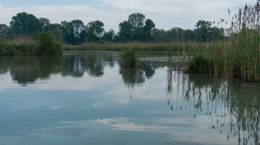 Gün batımında Mincio Nehri manzarası Lombardy, İtalya