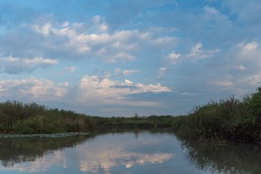 Gün batımında Mincio Nehri manzarası Lombardy, İtalya