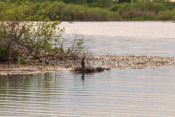 Prachtig Landschap Van Mincio Rivier Ochtend Lombardy Italië — Stockfoto