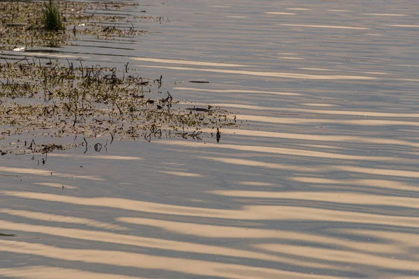 Bellissimo Scenario Del Fiume Mincio Mattino Lombardia Italia — Foto Stock