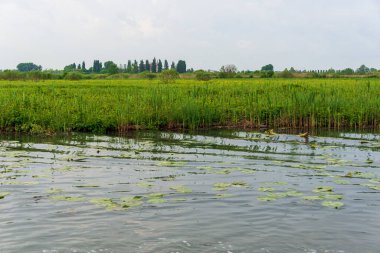 Lombardy, İtalya 'daki Mincio Nehri' nin güzel doğal manzarası.