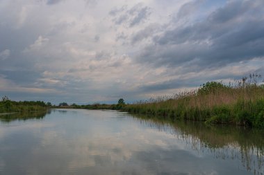 Gün batımında Mincio nehrinin güzel doğal manzarası, Lombardy, İtalya