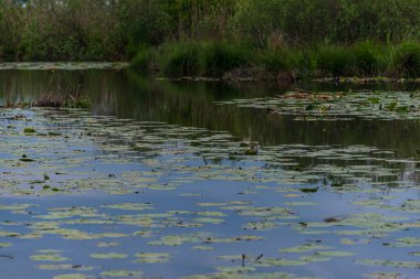 Lombardy, İtalya 'da güzel doğal manzara ve kırsal manzara 