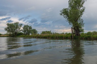 Sabahları Mincio nehrinin güzel manzarası, Lombardy, İtalya
