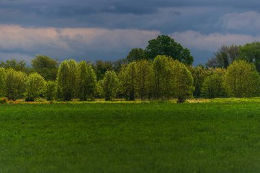 yemyeşil bitki örtüsü olan güzel bir kırsal bölge.