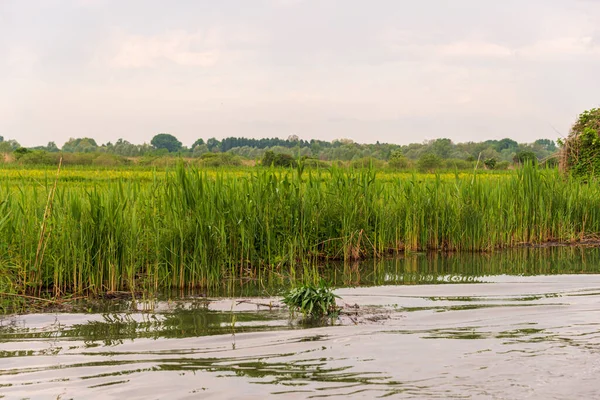 Sabahları Mincio nehrinin güzel manzarası, Lombardy, İtalya