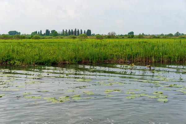 Lombardy, İtalya 'daki Mincio Nehri' nin güzel doğal manzarası.