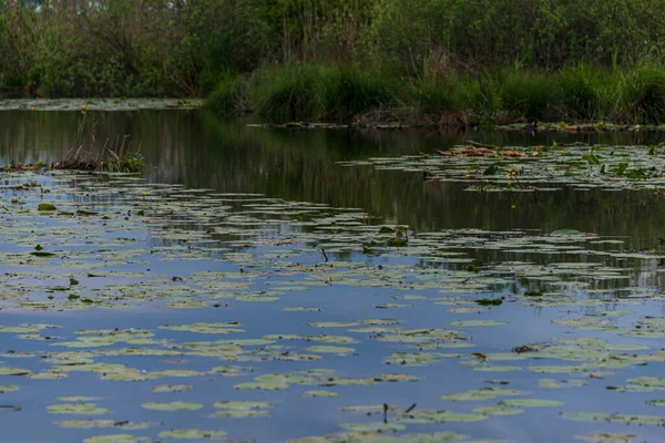 Lombardy, İtalya 'da güzel doğal manzara ve kırsal manzara 