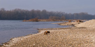 Güzel sonbahar manzarası sakin nehir ve yemyeşil bitki örtüsüyle sabah