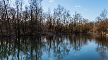 Güzel sonbahar manzarası sakin nehir ve yemyeşil bitki örtüsüyle sabah
