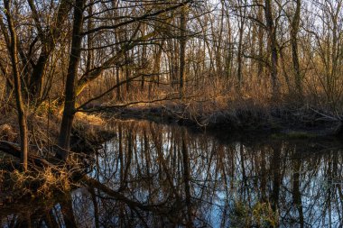 Ticino nehri ile güzel huzurlu doğa manzarası, İtalya