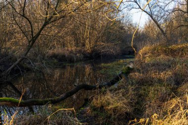 Ticino nehri ile güzel huzurlu doğa manzarası, İtalya