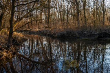 Ticino nehri ile güzel huzurlu doğa manzarası, İtalya