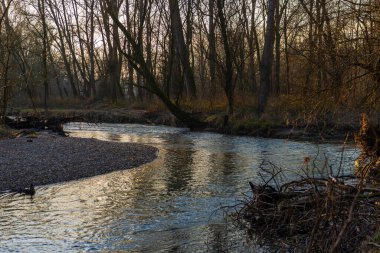 Ticino nehri ile güzel huzurlu doğa manzarası, İtalya