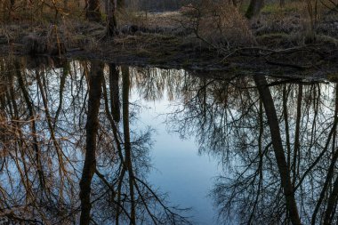 Ticino nehri ile güzel huzurlu doğa manzarası, İtalya